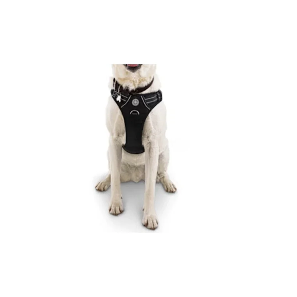 EveryYay Embrace The Pace No Pull Dog Harness Reflective Black Handle XL XXL